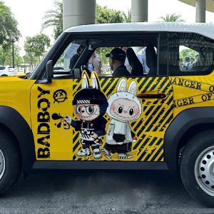 Dán decal tem xe VF3 siêu cute